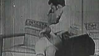 نوجوان بلی نے کار او ...