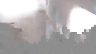 Busty سنہرے بالوں وا ...